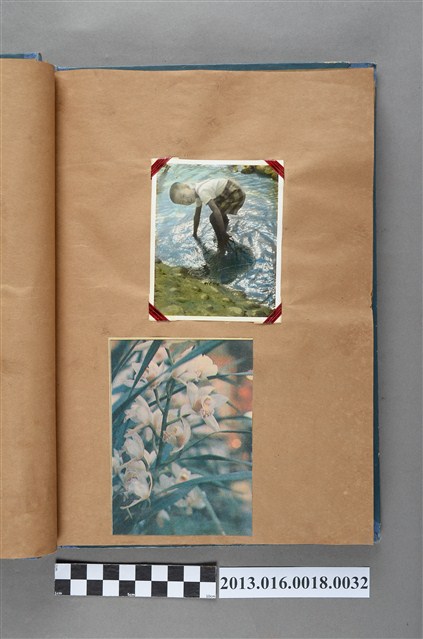 男童戲水照與花卉剪報共2張 (共1張)