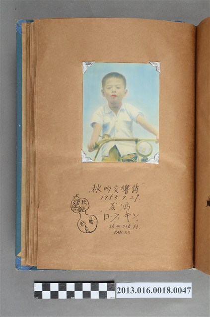 1955年9月27日陳義鴻騎腳踏車 (共1張)