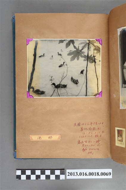 民國43年10月25日善化站前池畔 (共1張)