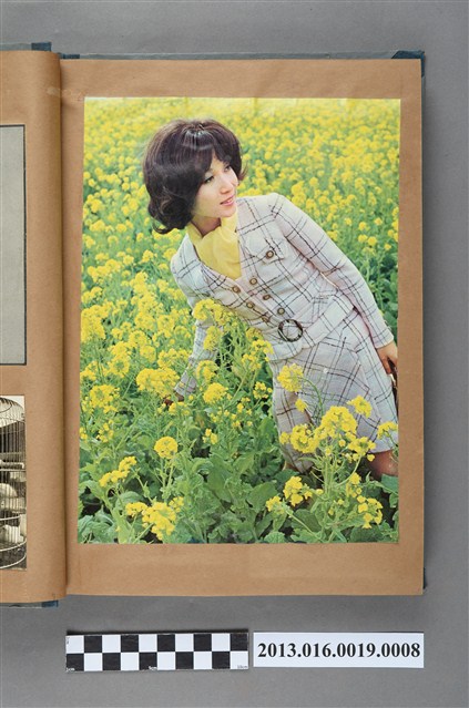 女子於油菜花田剪報 (共1張)