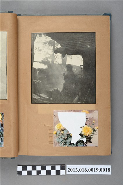 亭下抽菸老人剪報與菊花靜物照 (共1張)