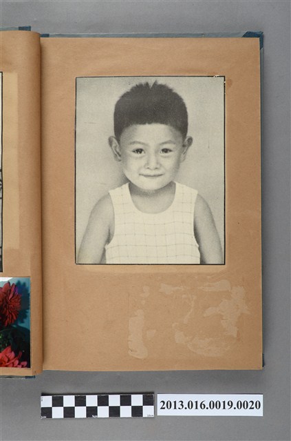 男童的微笑剪報 (共1張)