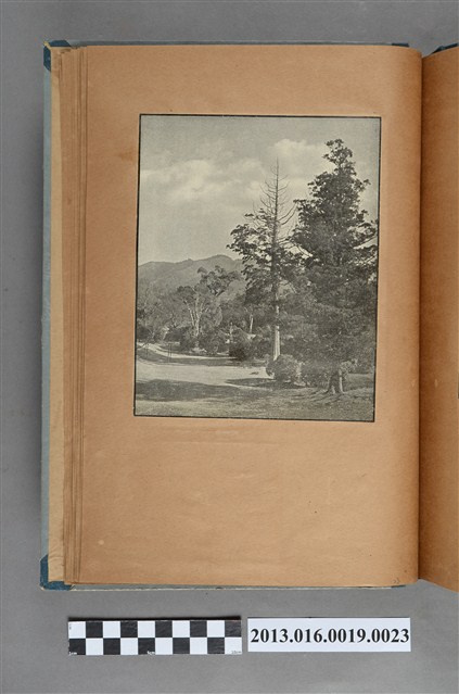 山林景色剪報 (共1張)