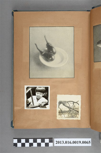 靜物剪報與陳崧波兒子獨照2張 (共1張)