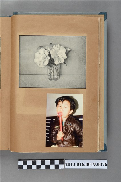 花卉靜物剪報與男童獨照 (共1張)