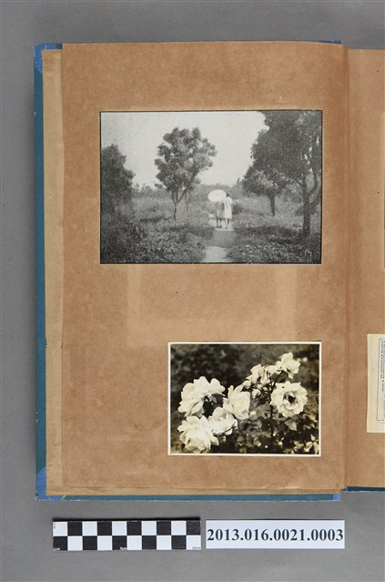 鄉間小路女子兩人背影剪報與玫瑰照2張 (共3張)