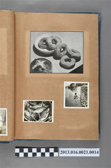 甜甜圈剪報、捕撈吳郭魚照與男童玩水照3張 (共4張)