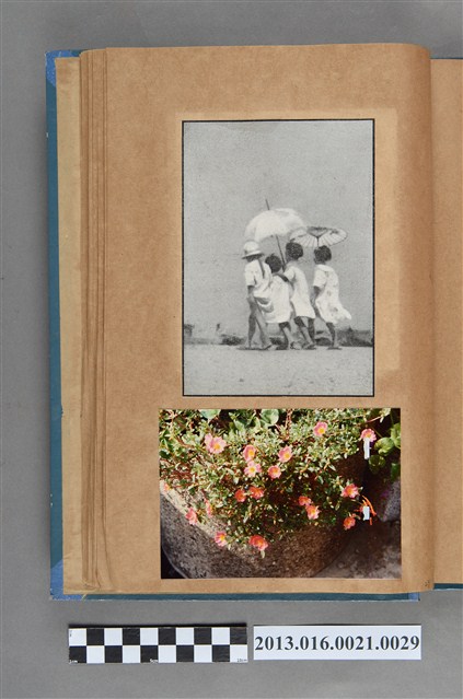 孩童於道路照與馬齒牡丹花照2張 (共3張)