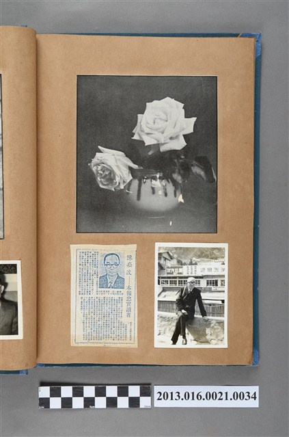 薔薇於花瓶剪報、陳崧波本報忠實讀者剪報與關子嶺陳崧波獨照3張 (共4張)