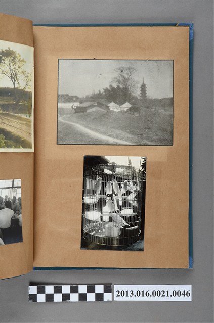 鄉村剪報與鳥於鳥籠照2張 (共3張)