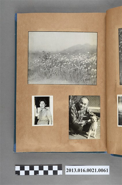 蒲公英景色剪報、陳崧波妻子獨照與陳崧波和狗合照3張 (共4張)