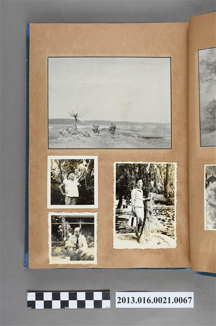 鄉間小路剪報、陳新平獨照、陳崧波賞花獨照與陳崧波妻子獨照4張 (共5張)