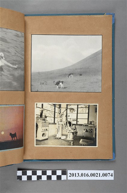 高原乳牛景色剪報與齒科診所醫療器材照2張 (共3張)