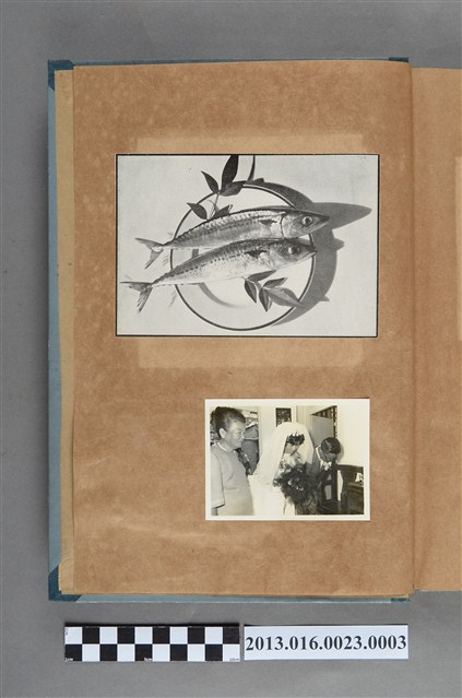 魚靜物剪報與結婚照 (共1張)