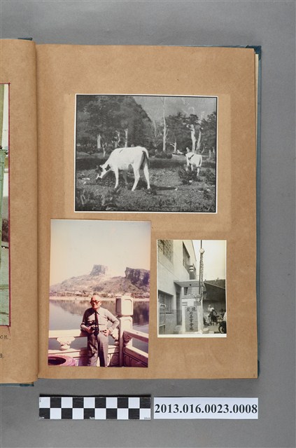 牛隻剪報以及陳崧波與結婚會場照共3張 (共1張)