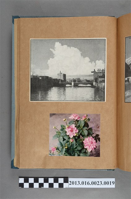 風景剪報與花卉照 (共1張)