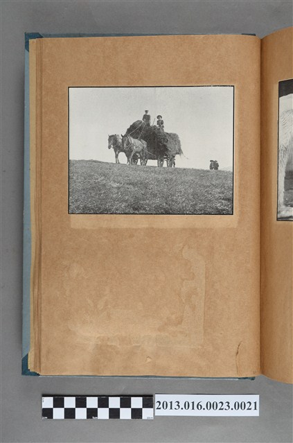 農家馬車剪報 (共1張)