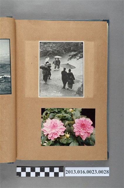 人物剪報與花卉照 (共1張)