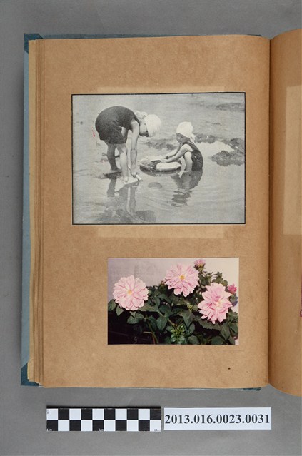 幼童戲水剪報與花卉照 (共1張)