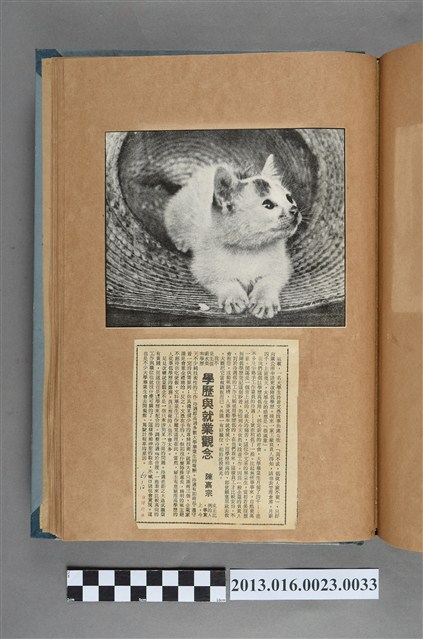 貓與民國67年1月10日「學歷與就業觀念」剪報 (共1張)