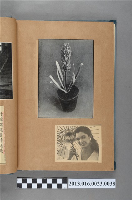 花卉與女性持傘剪報 (共1張)