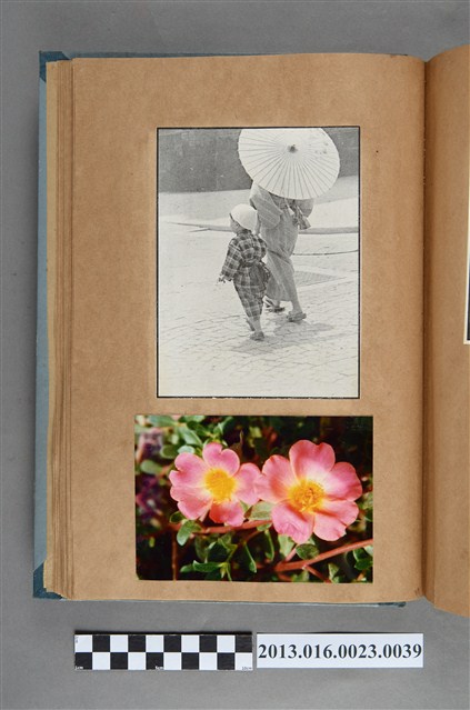 女性與幼童剪報以及花卉照 (共1張)