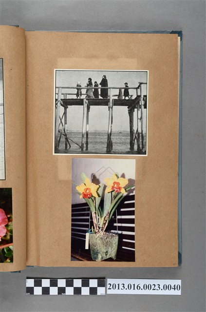 過橋剪報與花卉照 (共1張)