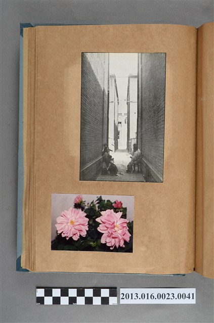 巷弄間談話剪報與花卉照 (共1張)