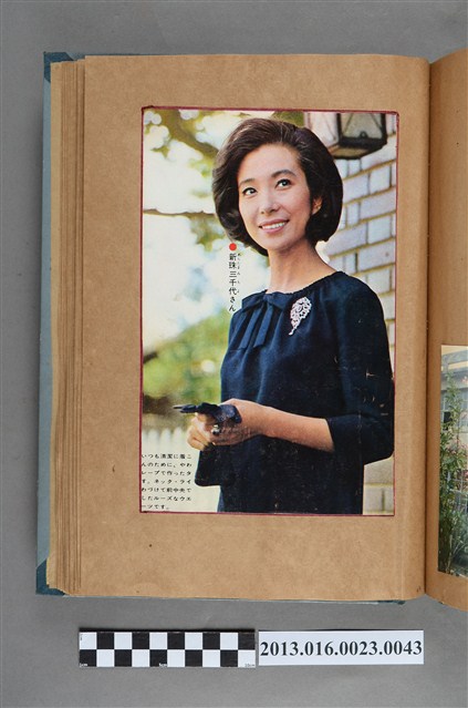 新珠三千代剪報 (共1張)