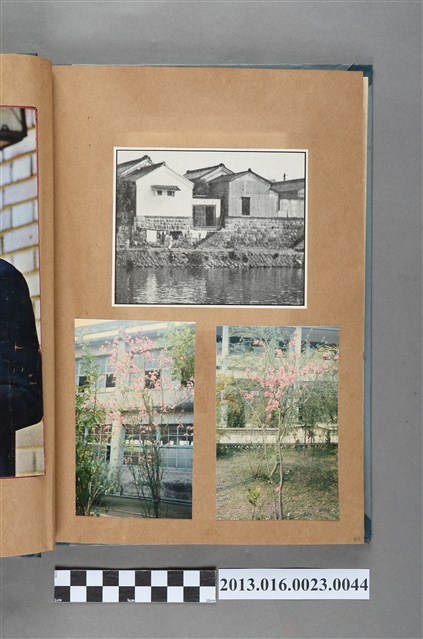 建築剪報與花卉照共3張 (共1張)