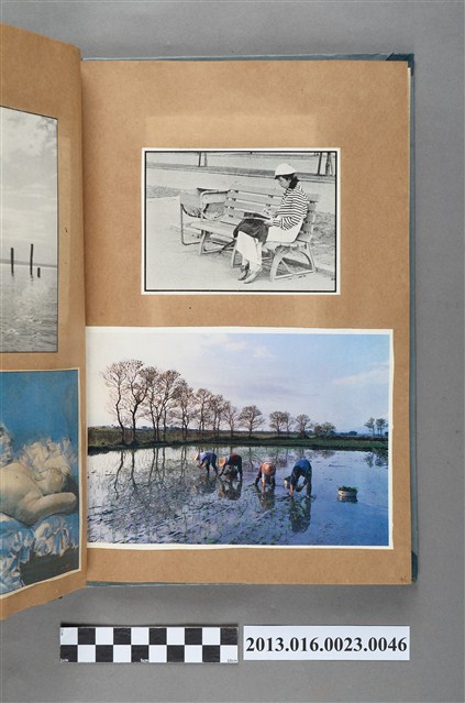 女子與插秧剪報 (共1張)