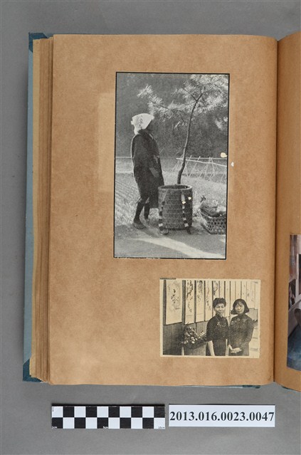 農婦採收與二女子剪報 (共1張)