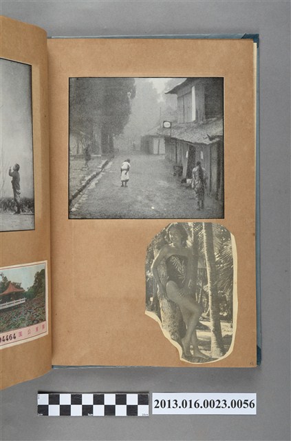 街道剪報與女子於椰子樹前剪報 (共1張)