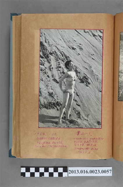 1964年1月27日松島進於葉山海岸所攝女子剪報 (共1張)