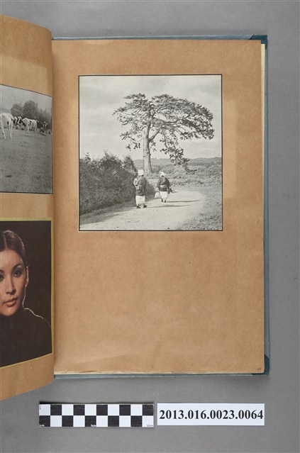 二婦女走路剪報 (共1張)