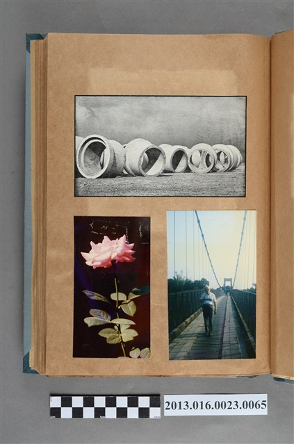 涵管剪報以及花卉與陳崧波照片共3張 (共1張)