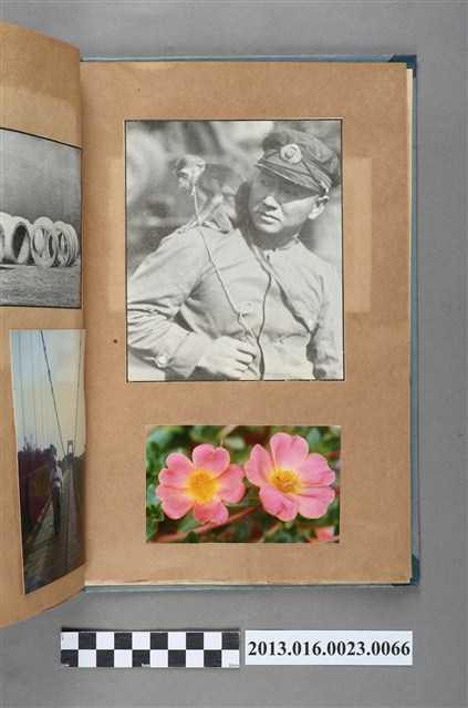 溜猴剪報與花卉照 (共1張)