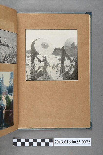 插秧剪報 (共1張)