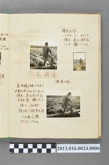 1956年11月27日農人於善化北仔店灑水照3張 (共1張)