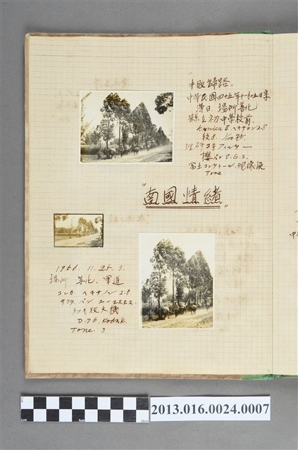 1956年11月25日牛隻與農人於善化照片3張 (共1張)