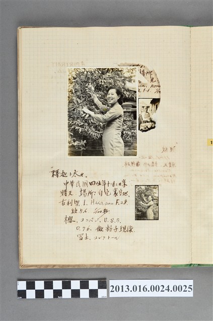 民國45年12月3日陳崧波妻子獨照2張 (共1張)