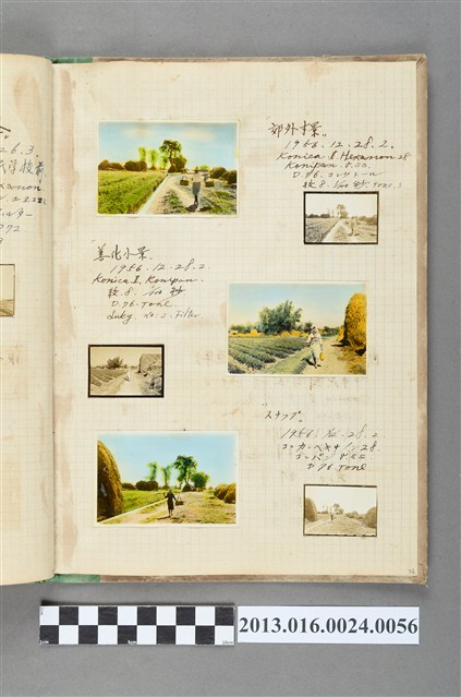 1956年12月28日農村風景照5張 (共1張)