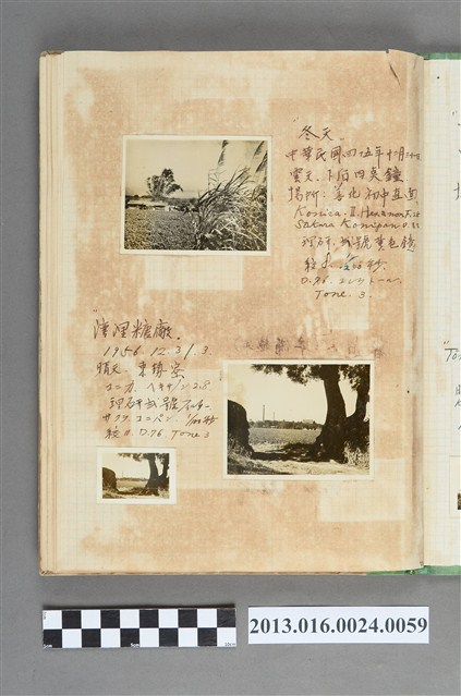 民國45年12月31日冬日善化初中與灣裡糖廠風景照3張 (共1張)