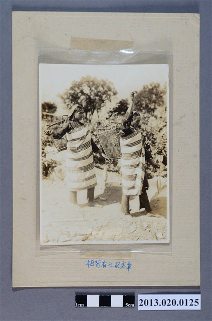 水社大山日月潭遊覽紀念 (共3張)