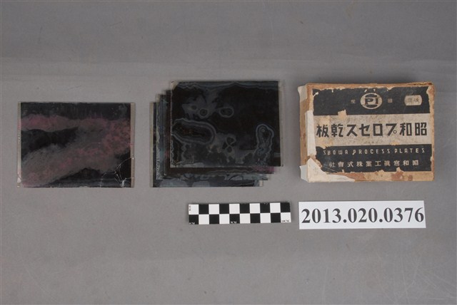 臺灣大學農學院顯微玻璃底片組 (共5張)