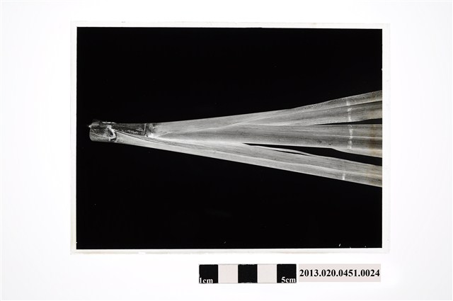 甘蔗病害玻璃底片 (共2張)