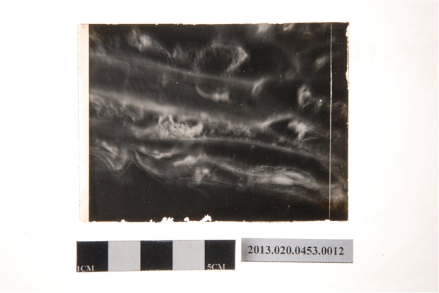 168小時後之分生孢子盤顯微玻璃底片 (共4張)