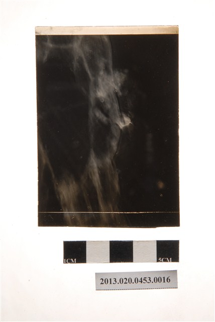 顯微玻璃底片 (共4張)