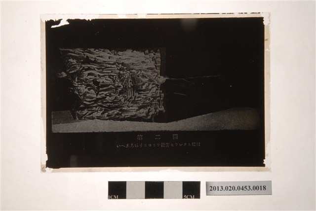 翻拍遭白蟻侵蝕的松材玻璃底片 (共2張)