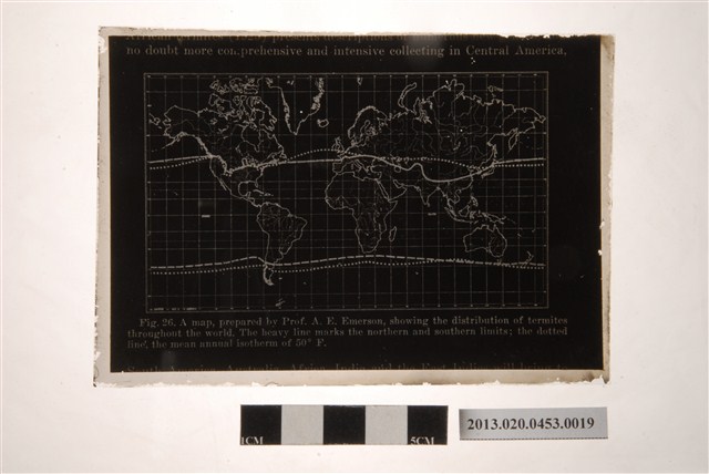 翻拍A. E. Emerson教授繪製白蟻分布圖玻璃底片 (共4張)